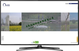 松江網(wǎng)站建設(shè) 如何打造引人入勝的商品圖相冊(cè)提升用戶體驗(yàn)